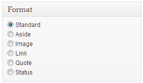 Post Format Options