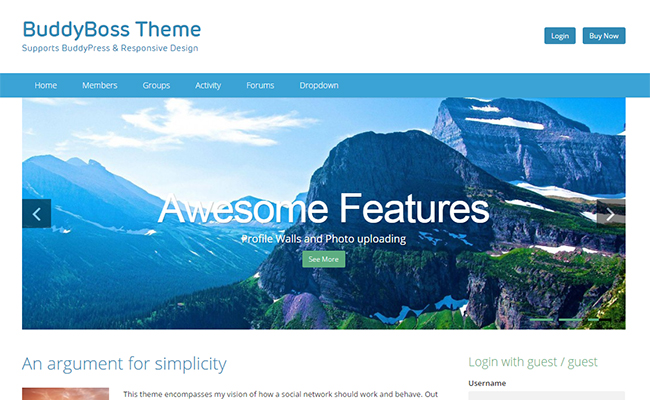 BuddyBoss Theme