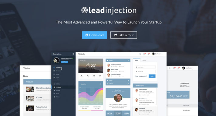 leadinjection theme