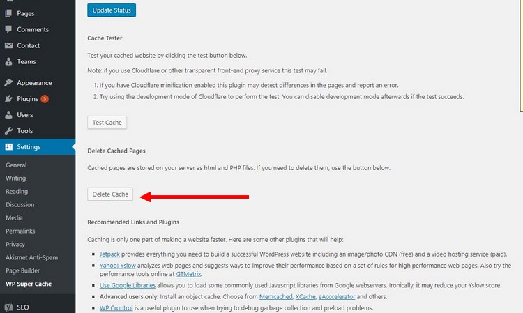delete-wp-cache