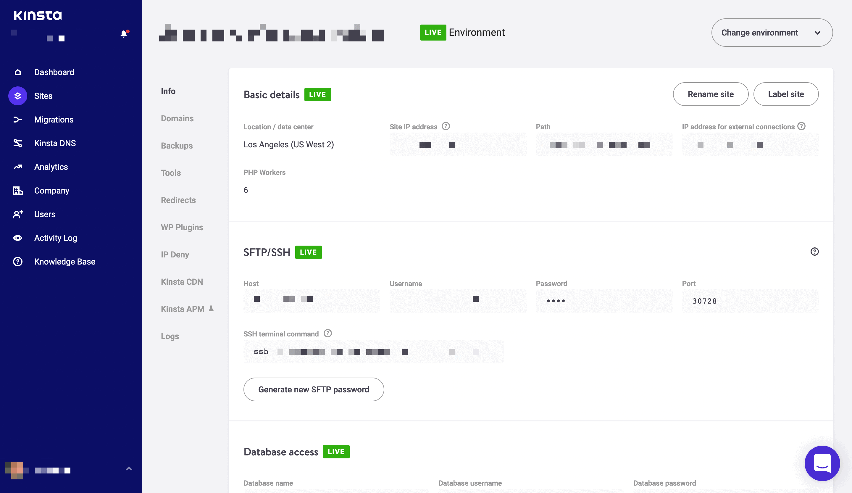 Kinsta's Info panel.