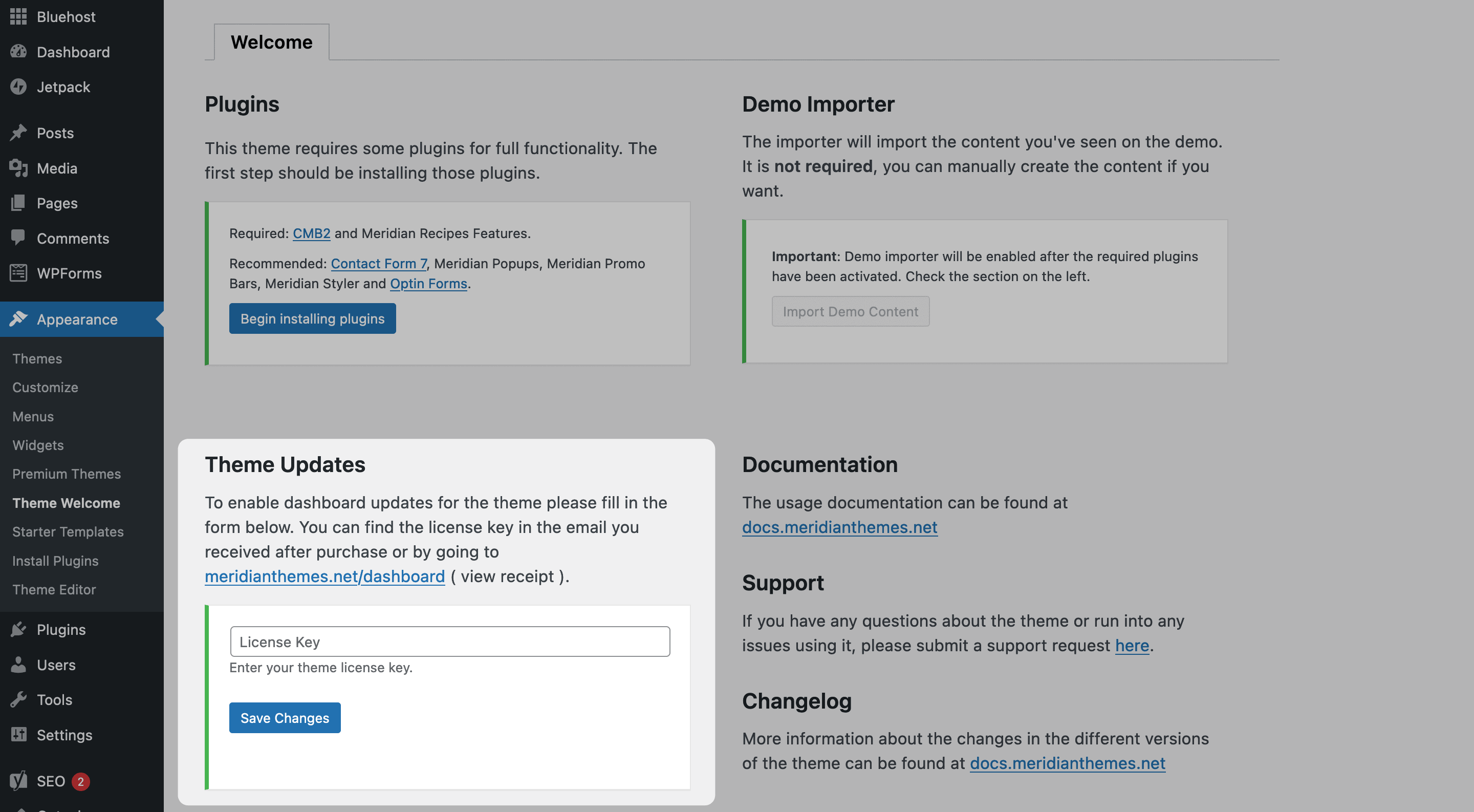 Adding a license key into WordPress.