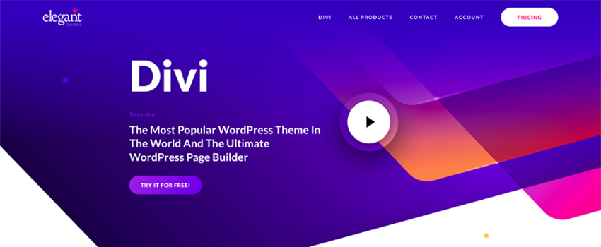 Divi Theme Examples