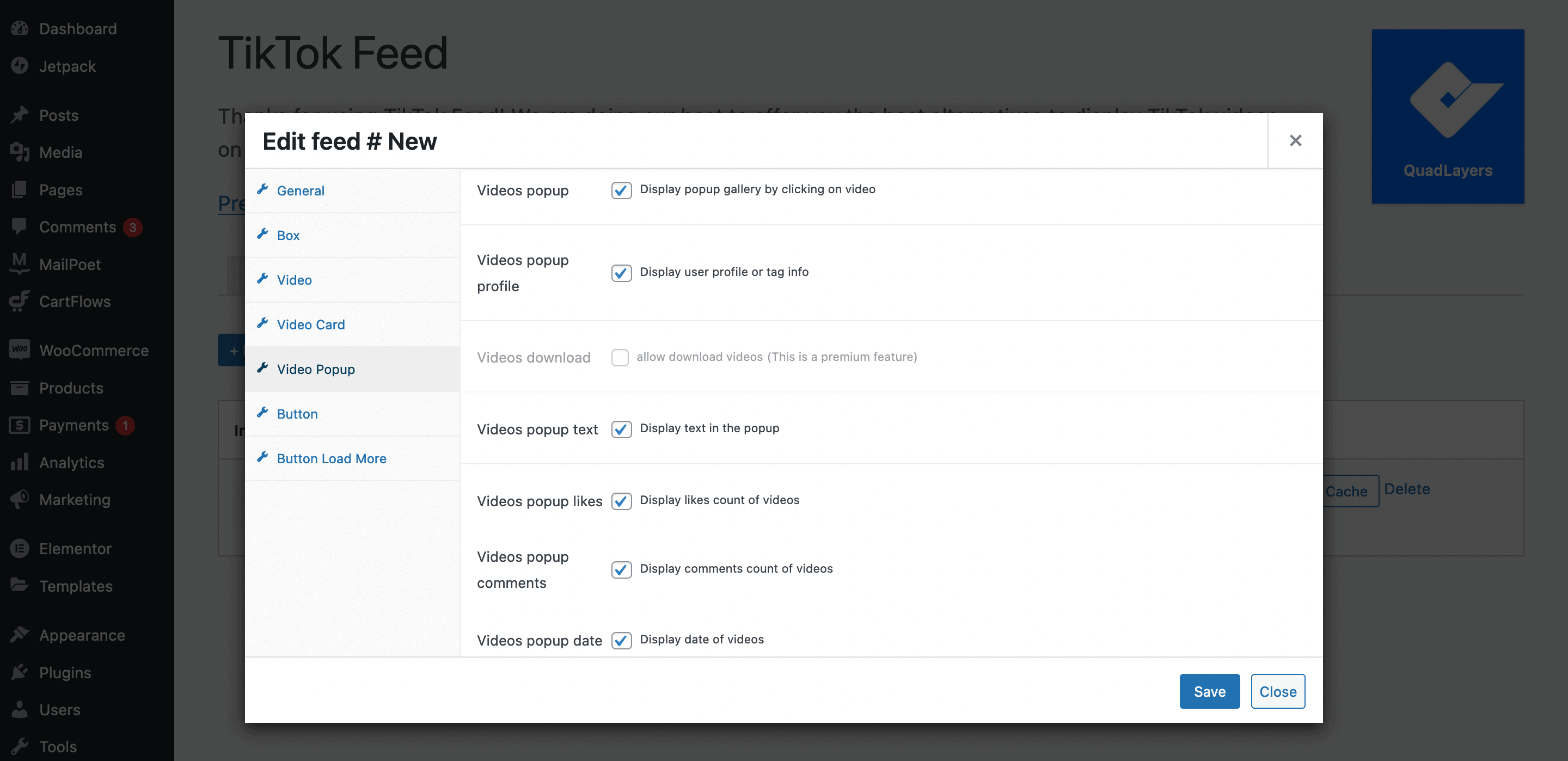 Changing video popup settings in WP TikTok Feed.