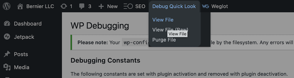 The Debug Quick Look bar.