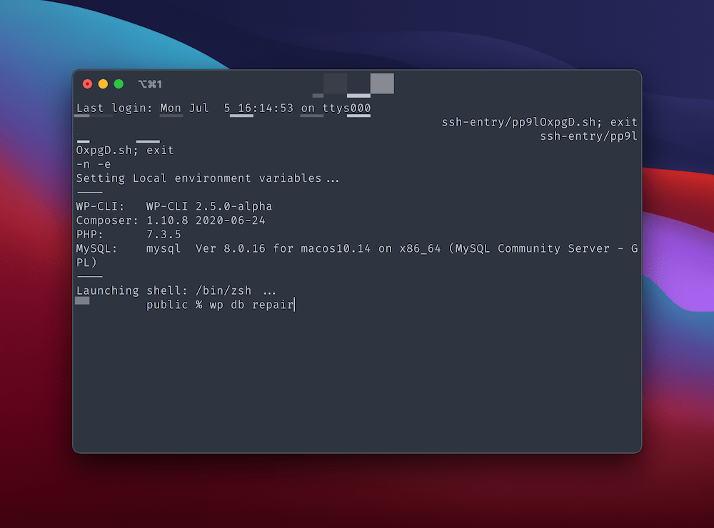 Using the WP-CLI to repair the database.