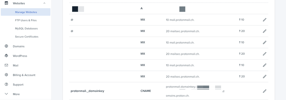 A list of DNS records.