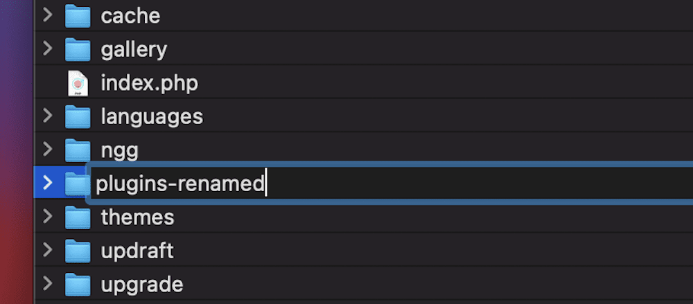 Renaming the plugins folder.